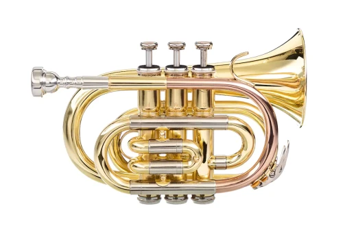 1. DRACO 93PT trąbka Bb kieszonkowa.webp