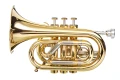 4. DRACO 93PT trąbka Bb kieszonkowa.webp