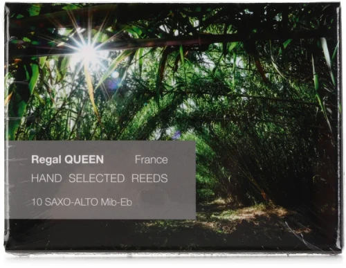 rigotti queen alt.webp