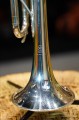DSC07764.JPG