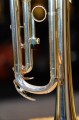 DSC07767.JPG