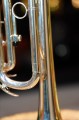 DSC07768.JPG