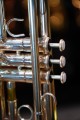 DSC07770.JPG