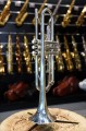DSC07775.JPG