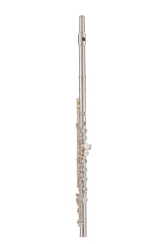 1. DRACO ENES - flet poprzeczny.jpg