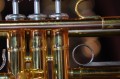 DSC00079.JPG