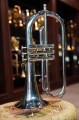 DSC00167.JPG