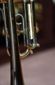 DSC00194.JPG