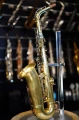 DSC02444.JPG