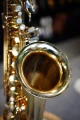DSC02504.JPG