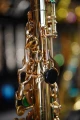 DSC02897.JPG