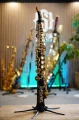 DSC03204.JPG