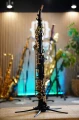 DSC03221.JPG