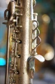 DSC03446.JPG