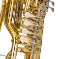 3. DRACO FINES - tuba F.jpg