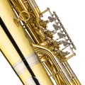 7. DRACO FINES - tuba F.jpg