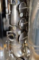 DSC03653.JPG