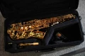 DSC03694.JPG