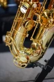 DSC03370.JPG