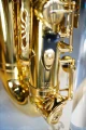 DSC04198.JPG