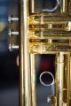 DSC04246.JPG