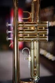 DSC04291_AP.JPG
