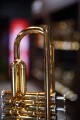 DSC04303_AP.JPG