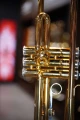 DSC04305_AP.JPG