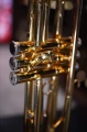 DSC04306_AP.JPG