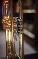 DSC04311_AP.JPG