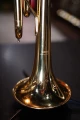 DSC04313_AP.JPG