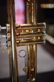 DSC04317_AP.JPG