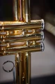 DSC04318_AP.JPG