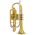 1. DRACO DCR 150.webp