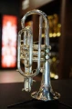 DSC04575.JPG