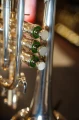 DSC04579.JPG
