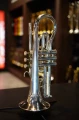 DSC04583.JPG