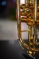 DSC04563.JPG