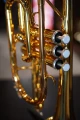 DSC04566.JPG