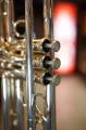 DSC04694.JPG
