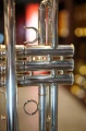 DSC04717.JPG