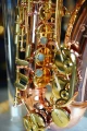 DSC05019.JPG
