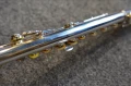 DSC05265.JPG