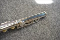 DSC05366.JPG