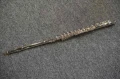 DSC05275.JPG
