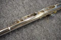 DSC05331.JPG