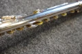 DSC05335.JPG