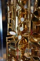 DSC05411.JPG
