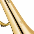 2. DRACO DFH 720 - flugelhorn.webp