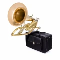 6. DRACO DFH 720 - flugelhorn.webp